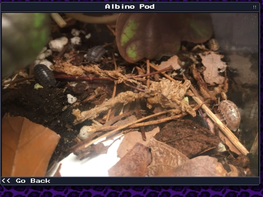plants/2024-12-28-02 screenshot