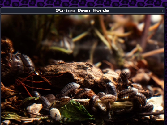 plants/2025-01-17 screenshot