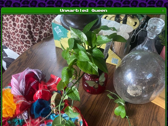plants/2025-08-16 screenshot