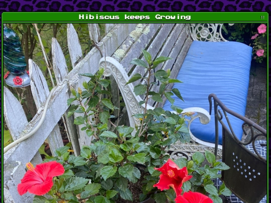 plants/2025-09-21 screenshot