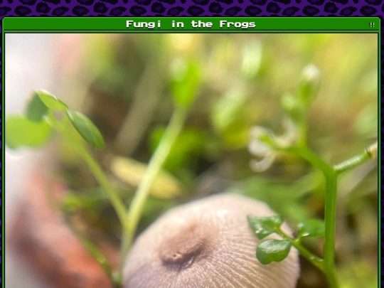 plants/2025-12-12 screenshot