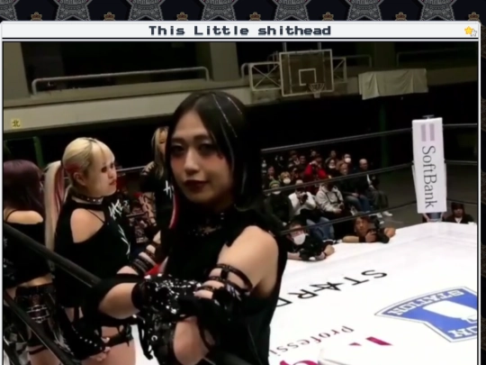 wrestle/2025-01-22 screenshot