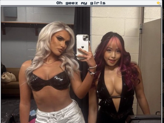 wrestle/2025-01-25 screenshot
