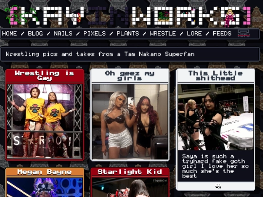 wrestle/4 screenshot