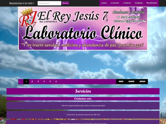 servicios screenshot