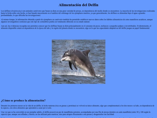 Alimentación del Delfín screenshot