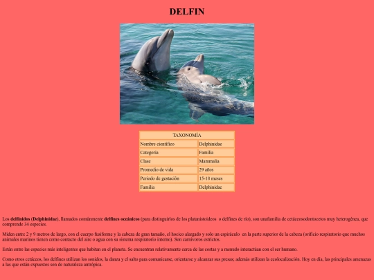 index2 screenshot