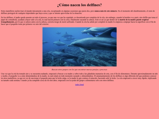 nacimiento de los delfines screenshot