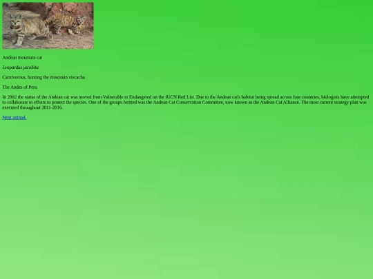 andeancat screenshot