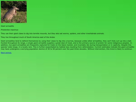 armadillo screenshot