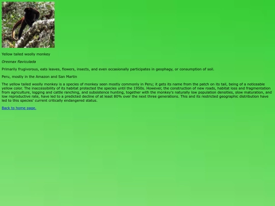monkey screenshot