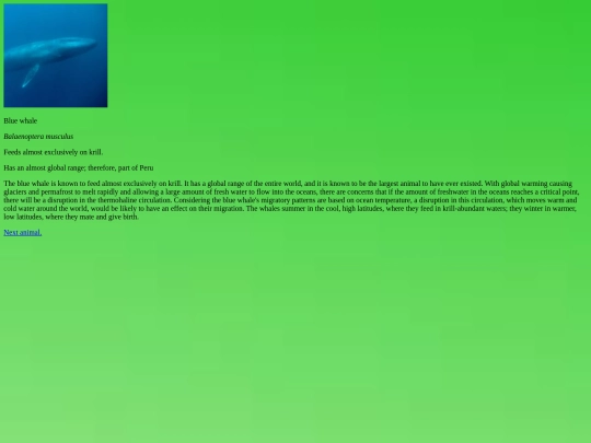 whale screenshot