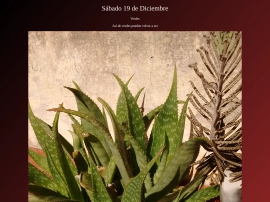 Entradas/201219 screenshot