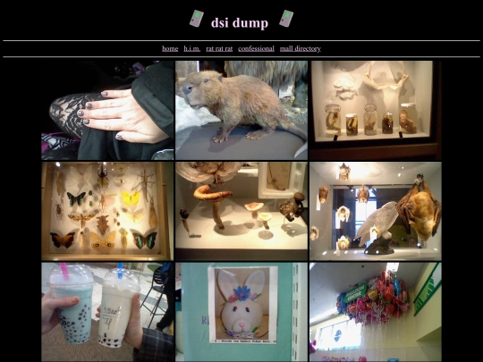 dsi screenshot