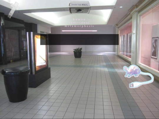h-i-m screenshot