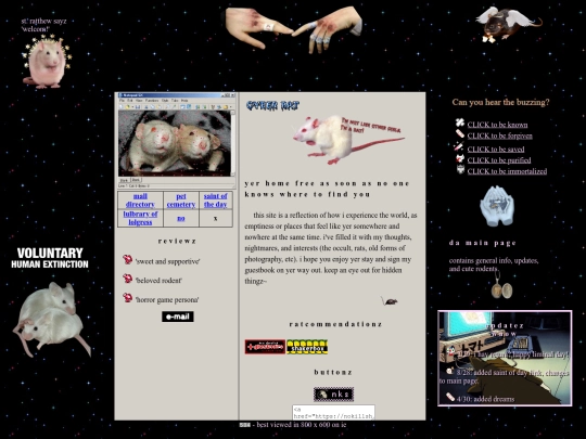 rathole screenshot