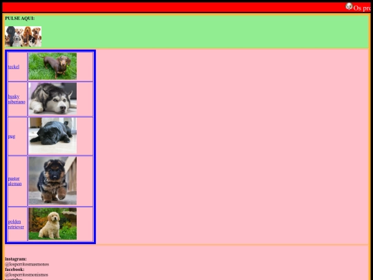 proyecto/inicio screenshot