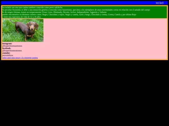 proyecto/perro1 screenshot
