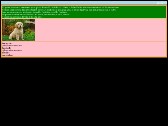 proyecto/perronumero5 screenshot