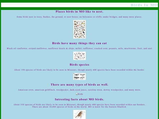 birds screenshot