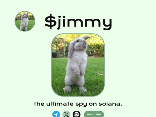 $JIMMYSPY (6_3_2024 12_23_45 PM) screenshot