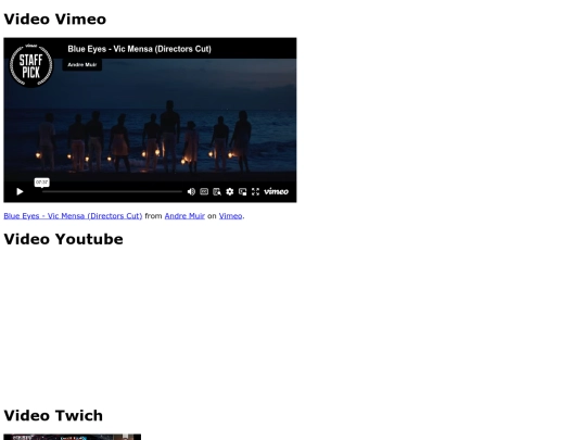 video screenshot