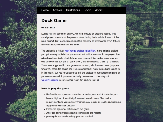 posts/2025-03-03-Duck-Game screenshot