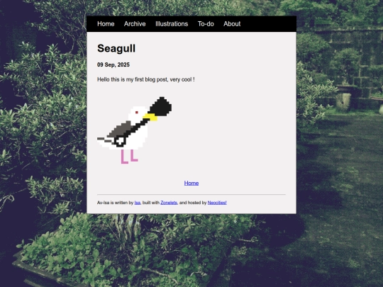 posts/2025-09-09-Seagull screenshot