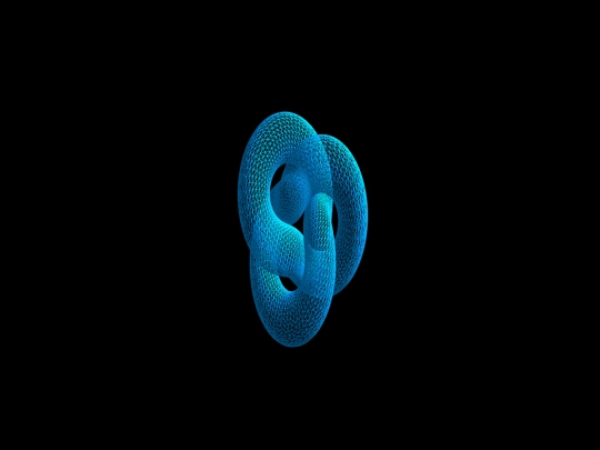 torus screenshot