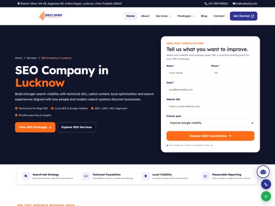 seo-company-in-lucknow 1 screenshot