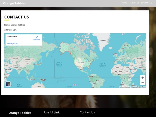 contact-us screenshot