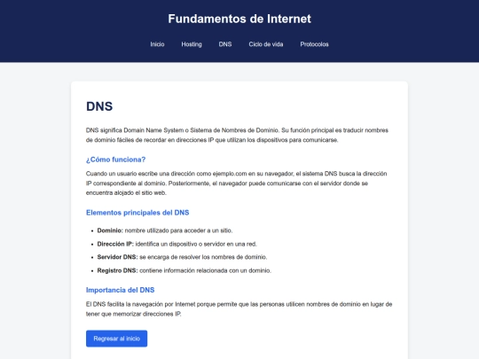dns screenshot