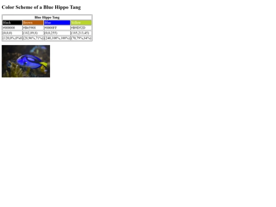 Color-Scheme screenshot