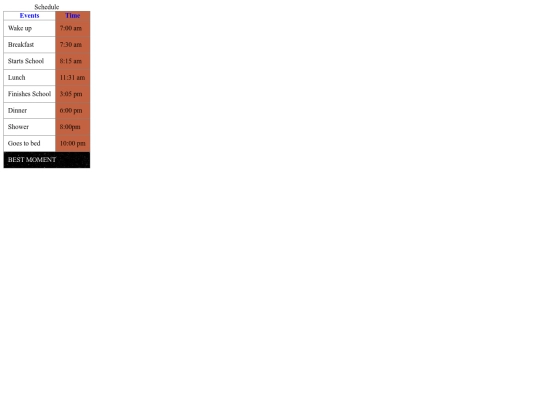 stylish-schedule screenshot