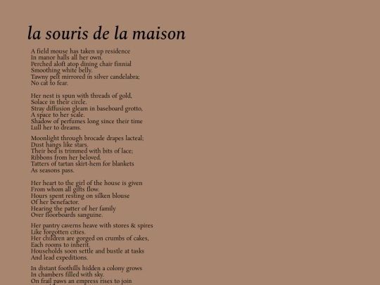 la souris de la maison/la_souris_de_la_maison screenshot