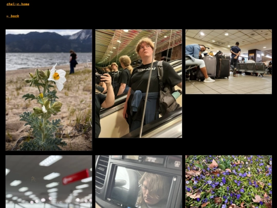 photography/life screenshot