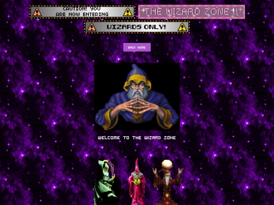 pages/wizardzone screenshot