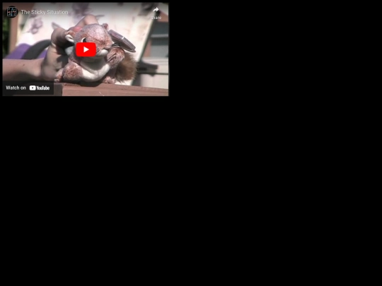 Wayne26/popup1 screenshot