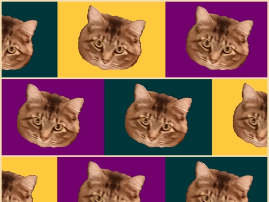 etc/stella_heads screenshot