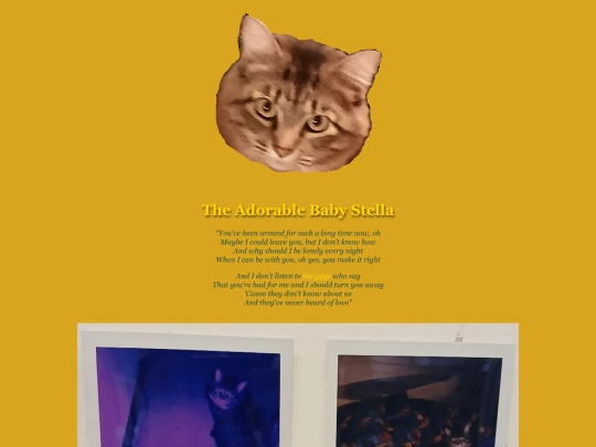 photos/cats/stella screenshot