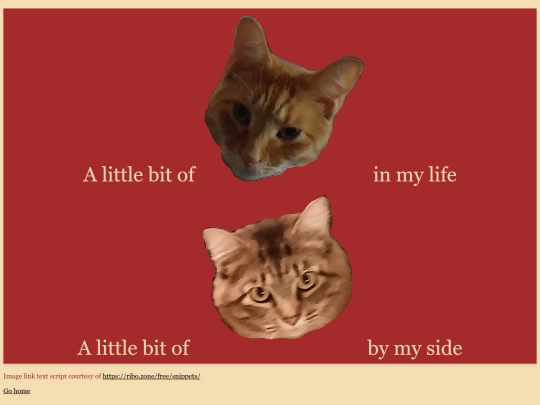 test/imgtext_test screenshot