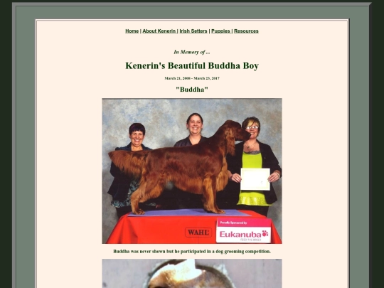 buddha screenshot