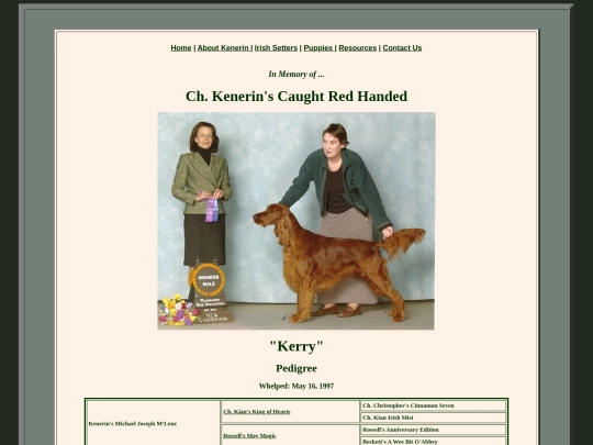kerry screenshot