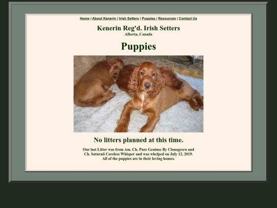 puppies screenshot