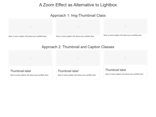 zoom screenshot