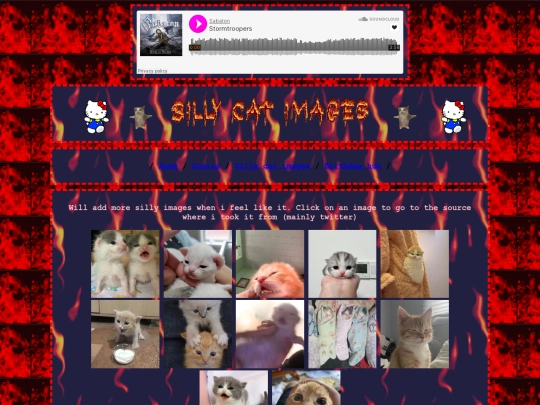 compressed silly cat images screenshot