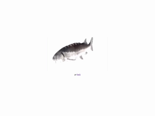 fish screenshot