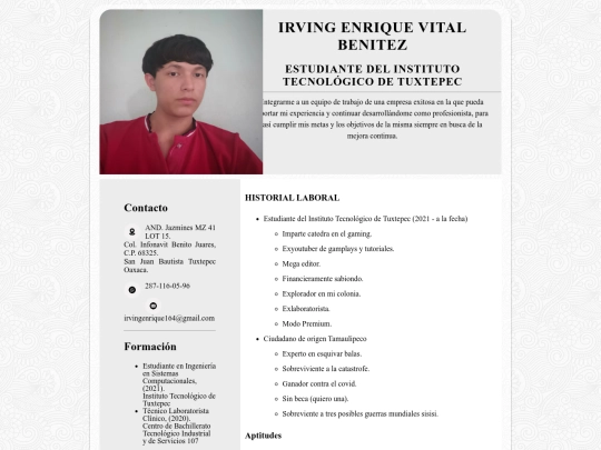 Practica_de_Frontend/cv screenshot