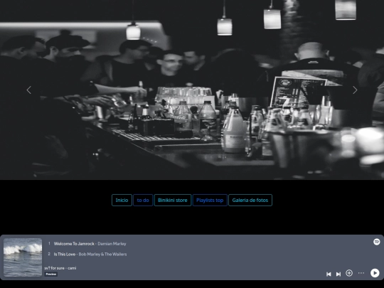 playlists screenshot