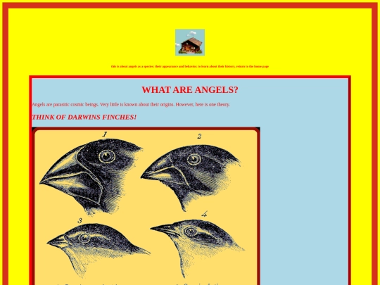 aboutangels screenshot